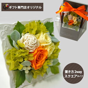 vU[uht[ AWg XNGA CG[EIW () (kCE) y_ HAREPB_