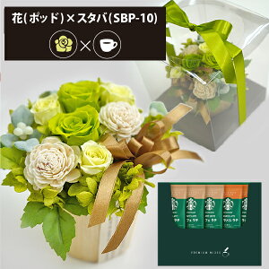 vU[uht[ + X^[obNX v~A~bNX R[q[Zbg t[|bh (O[) (kCE) y_ HAREPB_