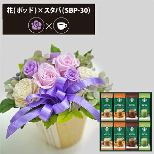 vU[uht[ + X^[obNX v~A~bNX R[q[Zbg t[|bh (p[v) (kCE) y_ HAREPB_