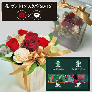 vU[uht[ + X^[obNX IK~ R[q[Zbg t[|bh (bh) (kCE) y_ HAREPB_