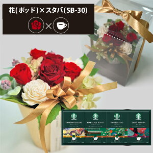 vU[uht[ + X^[obNX IK~ R[q[Zbg t[|bh (bh) () (kCE) y_ HAREPB_