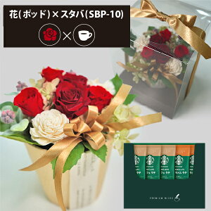 vU[uht[ + X^[obNX v~A~bNX R[q[Zbg t[|bh (bh) (kCE) y_ HAREPB_