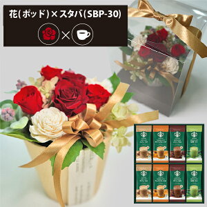 vU[uht[ + X^[obNX v~A~bNX R[q[Zbg t[|bh (bh) () (kCE) y_ HAREPB_