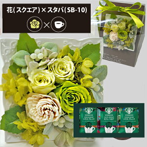 vU[uht[ + X^[obNX IK~ R[q[Zbg XNGA (O[) () (kCE) y_ HAREPB_