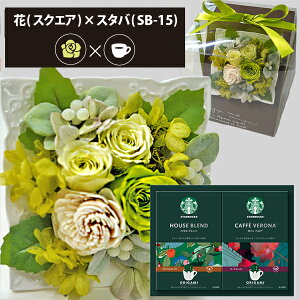 vU[uht[ + X^[obNX IK~ R[q[Zbg XNGA (O[) () (kCE) y_ HAREPB_