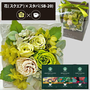 vU[uht[ + X^[obNX IK~ R[q[Zbg XNGA (O[) (kCE) y_ HAREPB_