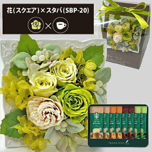 vU[uht[ + X^[obNX v~A~bNX R[q[Zbg XNGA (O[) () (kCE) y_ HAREPB_