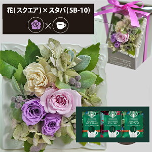 vU[uht[ + X^[obNX IK~ R[q[Zbg XNGA (p[v) () (ꕔO) y_ HAREPB_