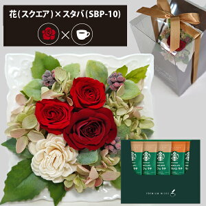 vU[uht[ + X^[obNX v~A~bNX R[q[Zbg XNGA (bh) (kCE) y_ HAREPB_