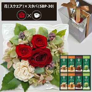 vU[uht[ + X^[obNX v~A~bNX R[q[Zbg XNGA (bh) () (kCE) y_ HAREPB_