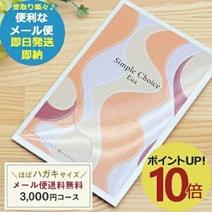 J^OMtg Vv`CX G-CO GEA 3000~R[X ()  ([/s)y_