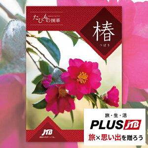 J^OMtg JTB т̐  ([/s)y s  ̌ O G _