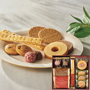 ʌ XC[cA\[g+S ZSA-10R mَq l y_ s25wg _