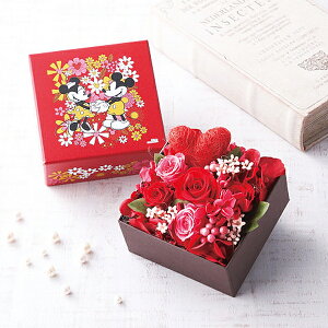 JԒd fBYj[ {bNXt[AWg (~bL[&~j[) 2022DO-004SH y CeA  G Mtg zy_