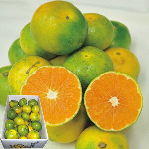  a̎RY 瑁݂ 3kg (oד:10{-11{) (kCE) y_ s25aw _