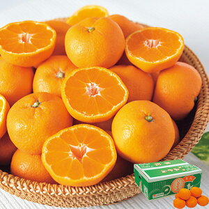  F{Y݂ 4kg (oד:11{-12{) (kCE) y_ s25aw _