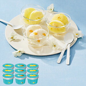 ʌ  UEXEB[c {̊kV[xbg 9 (kCE)y_ s25wg _