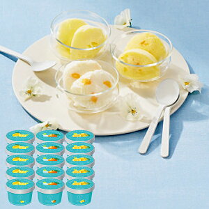 ʌ  UEXEB[c {̊kV[xbg 15 (kCE)y_ s25wg _