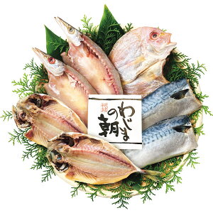  킶܂̒Zbg 47 (kCE)y_ s25wg _