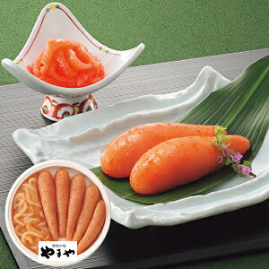  ܂ Fhqq&Zbg (kCE)y_ s25wg _