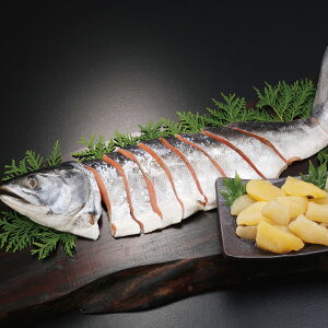  }t Ɛ̎qZbg 3514 SW393 (oד11/01-12/23) (kCE)y_ 25wg _