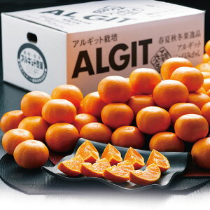  ÉOYAMbg݂ 4kg SW99 (oד11/30-12/25) (kCE)y_ 25wg _