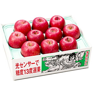  XY x13xI Tӂ 2.5kg W1626 SW633 (oד11/25-12/20) (kCE)y_ 25wg _