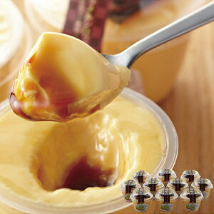  {{ ߎIЃv 10 (kCE)y_ s25wg _