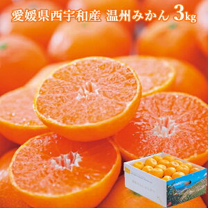  QFaY B݂ 3kg (oד:11/03-12/26) (kCE)y_ s25wg _