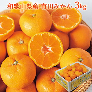  a̎RY Lc݂ 3kg (oד:12/03-12/25) (kCE)y_ s25wg _