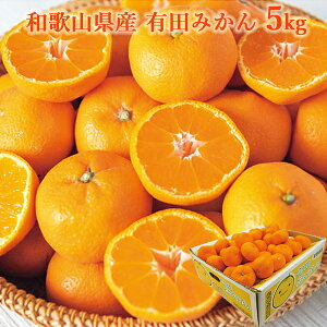  a̎RY Lc݂ 5kg (oד:12/03-12/25) (kCE)y_ s25wg _