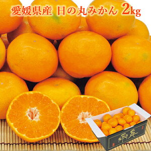  QY ̊ۂ݂ 2kg (oד:12/03-12/27) (kCE)y_ s25wg _