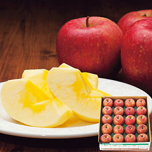 お取寄 山形県産 サンふじりんご 5kg (出荷日:12/03-12/27頃) 送料無料(北海道・沖縄を除く)【_ s25wg _