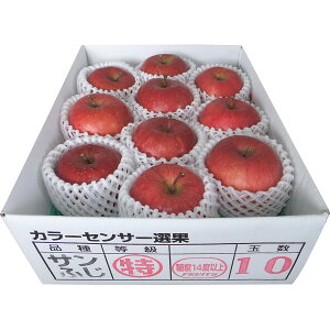 お取寄 青森県産 糖度14度以上サンふじ 2.5kg (出荷日:12/03-12/27頃) 送料無料(北海道・沖縄を除く)【_ s25wg _