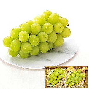  쌧Y VC}XJbg 2[ (oד:12/03-12/27) (kCE)y_ s25wg _