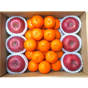 お取寄 みかん・りんごセット (出荷日:12/03-12/27頃) 送料無料(北海道・沖縄を除く)【_ s25wg _