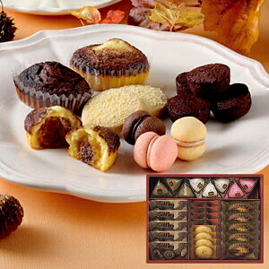 ʌ V[L[u eB~XEt@^WX^S CAS(TF)-30 (ꕔO)y_ s25wg _