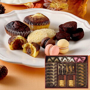 ʌ V[L[u eB~XEt@^WX^L CAS(TF)-50 (ꕔO)y_ s25wg _