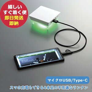 X^[ONu ^`[W[ BPL-145 LED dr h hЃObY  () (ꕔO)y_