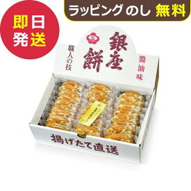 ぎんざ 花のれん 銀座餅 25枚 銀座花のれん 揚げせんべい (即日発送) 送料無料(一部除外)【_