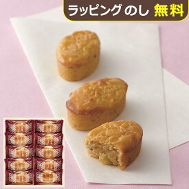 ひととえ こがね芋 10号 KGB-10 【 鳴門金時 芋 スイートポテト 中島大祥堂 Hitotoe 】【_