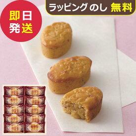 ひととえ こがね芋 10号 KGB-10 (即日発送) 【 鳴門金時 芋 スイートポテト 中島大祥堂 Hitotoe 】【_