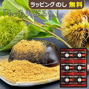 ひととえ 黒わらび餅 6号 KWA-10 中島大祥堂 Hitotoe 和菓子 わらび餅 【 HWRB _