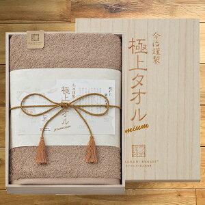 ސ ɏ^I oX^I O[ GK22050GR (ؔ) ^I ^IMtg (kCE)y_