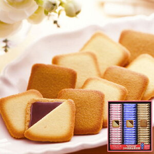 񂰑ܕt Ro FC 54 MV200 3 XC[c mَq y_