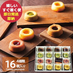 井桁堂 ガトープルポ 大 16個 (即日発送) 送料無料(北海道・沖縄を除く)【 スイーツ 焼菓子 フィナンシェ 詰合せ ハートリー 】【_