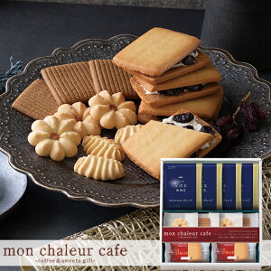 V[JtF [YThER[q[Zbg RS-20 y_