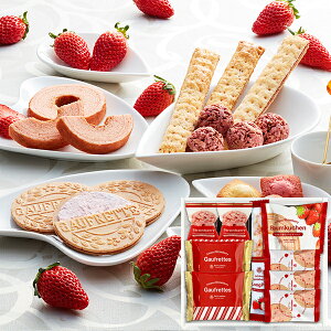 ܂䕃oEN[wv`Kg[@Mtg{bNX FAS-10 FAS10 (ꕔO) y_