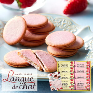 ܂䕃OhV GT10 (kCE)y_