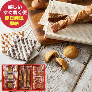 _˘QXC[cZNV SS-10 () y_